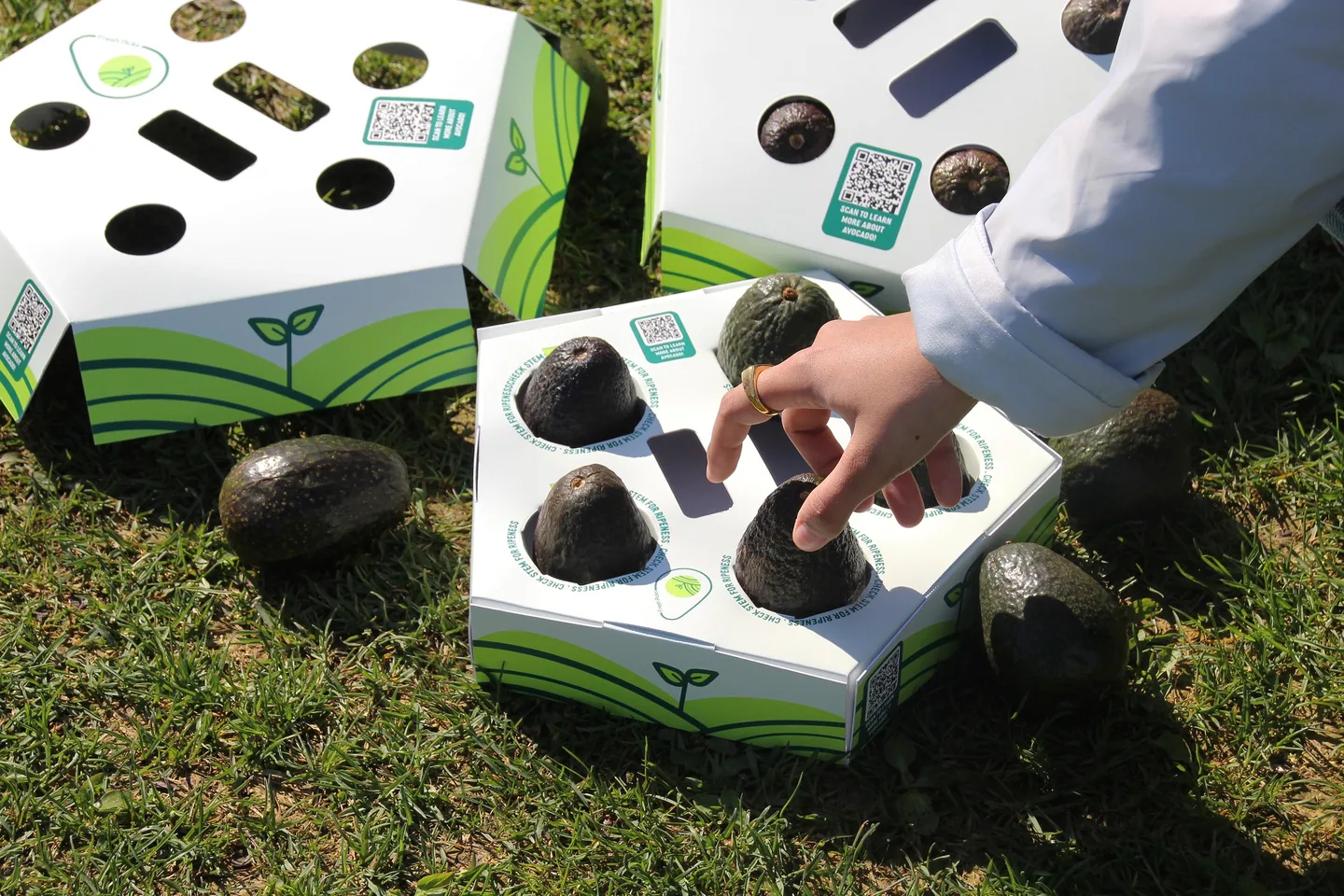 Two carriers on the grass, one being unpacked