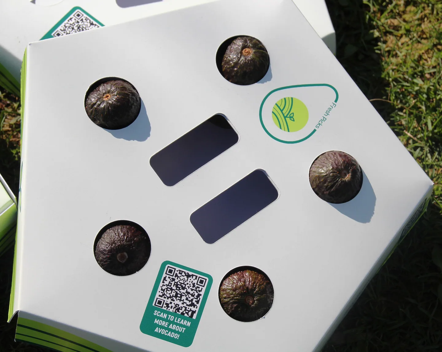 Top view of the carrier holding five avocados, with a QR code panel
